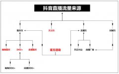 <b>抖音账号没流量，该投DOU+吗？怎么投？</b>